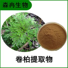 森冉生物 卷柏提取物 回陽(yáng)草提取物 植物提取原料粉