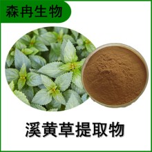 森冉生物 溪黃草提取物 血風(fēng)草提取物 全水溶原料粉