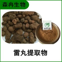 森冉生物 雷丸提取物 雷實提取物 植物提取原料粉