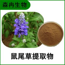 森冉生物 鼠尾草提取物 洋蘇草提取物 植物提取原料粉