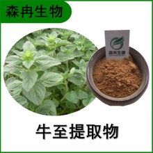 森冉生物 牛至提取物 土香薷提取物 比例提取原料粉