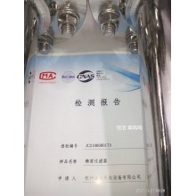 壓縮空氣氮?dú)饩苓^(guò)濾器