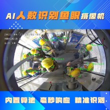 升降機AI人數(shù)識別魚眼攝像頭 智能分