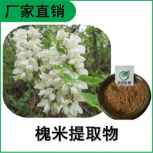 森冉生物 槐米提取物 槐花提取物 比例提取原料粉