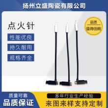 點火針 點火電極系列生產廠家