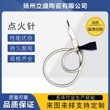 揚州立盛點火針 點火電極系列生產廠家