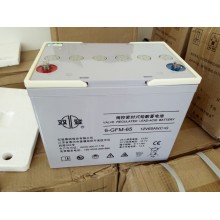 湖南雙登蓄電池UPS蓄電池12V-65AH鉛酸免維護蓄電池直