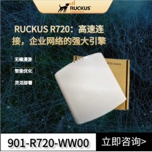 廣東優科無線代理美國Ruckus R720高密設備環境專用AP