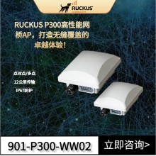 優科Ruckus P300 點對點/點對多點網橋優科P300無線網橋