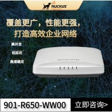 RUCKUS R650：性能穩(wěn)定，重塑無線未來——您的Wi-Fi 6旗艦之選！