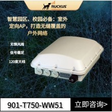 Ruckus戶外AP 優(yōu)科901-T750-WW51室外定向AP企業(yè)級WiFi6路由器